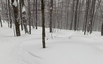 Les Meilleures Pistes du Relais