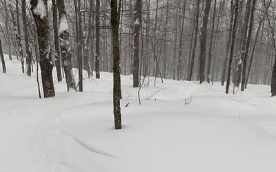 Les Meilleures Pistes du Relais
